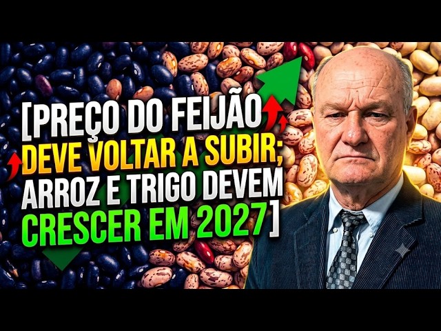 Preço do feijão deve voltar a subir; arroz e trigo devem crescer em 2027.