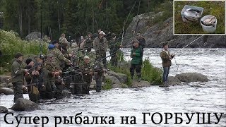 Рыбалка на лосося в реке поплавок
