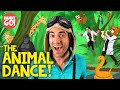 The Animal Dance Danny Go Kid S Songs About Animals