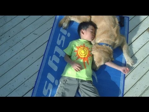 WANKO -The Story of Me, My Family and Rock Trailer 【Fuji TV Official】