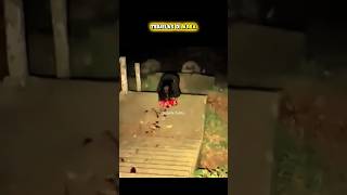 Download lagu THIS IS THE APPEARANCE OF A GHOST FROM INDONESIA #short #viralvideo #viral #horror #creepy #fyp mp3