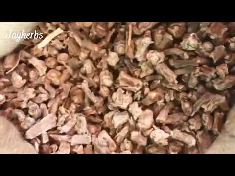 Natural dried sarsaparilla root cultivated, packaging size: ...