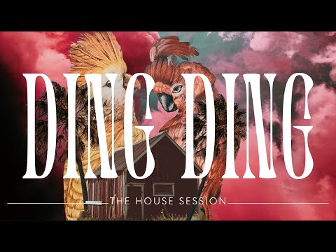 Mac Maya - Ding Ding (Official Audio)