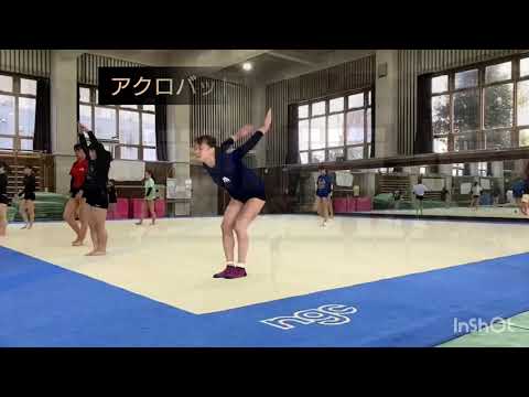 東女体大　体操競技部 （クラブ紹介）2