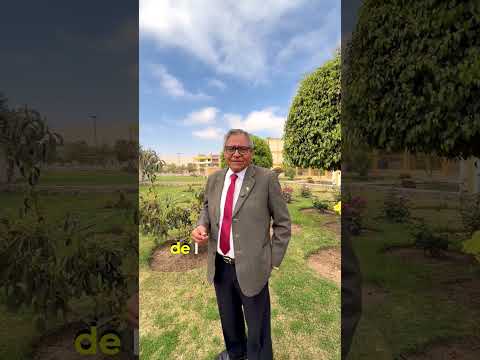 26 de Agosto | Confluencia Basadrina