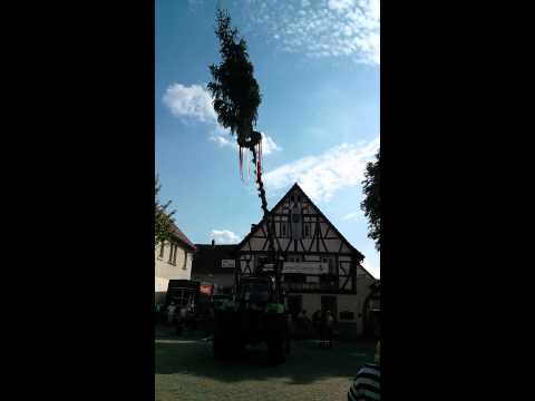 Aufstellen des Kerbbaumes am 07.08.2014