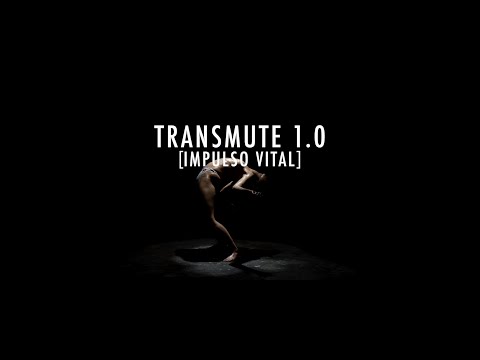 VELTER - Transmute 1.0 [Impulso Vital] // Official Fake Video