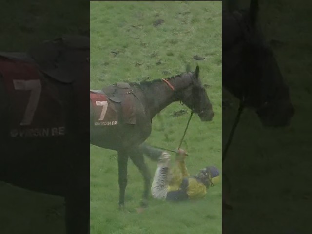 Thumbnail for Post ID: XSC3jnqZALY