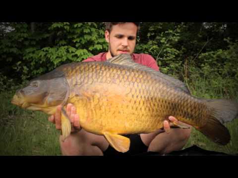 Karpfenangeln Videotagebuch 36 - CarpFishingETM