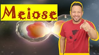 Meiose - Aula Completa - Conceito, Etapas e Características - Divisão Celular - Citologia