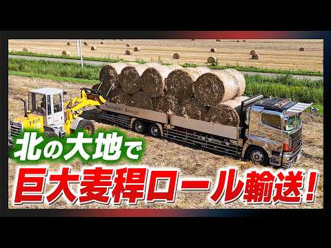 【デコトラ巨大輸送】北海道はスケールが桁違い！競走馬の布団を運ぶデコトラの仕事に密着！