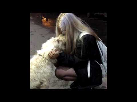 [FREE] Lil Peep x Sewerperson x Guardin Type Beat - Reside