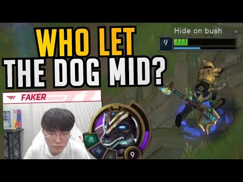 T1 Faker Mid Nasus Outplay!  - Best of LoL Stream Highlights (Translated)