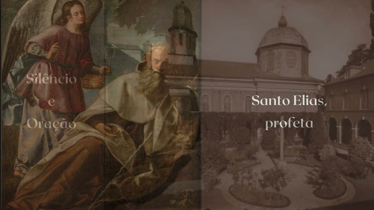 Sobre a Ordem do Camelo