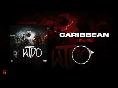 Ai Milly - Caribbean ft RajahWild ( Track 10)