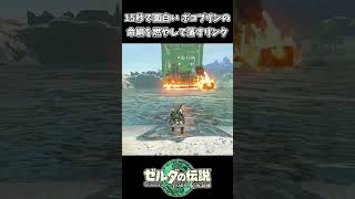 15秒で面白い 命綱を燃やして川に落とすリンクｗｗ【ゼルダの伝説 ティアーズ オブ ザ キングダム】