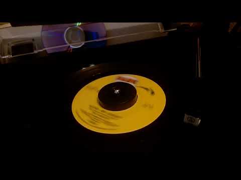 The McCoys / Hang On Sloopy