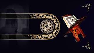 @السيرة النبوية بدر المشاري الجزء التاسع