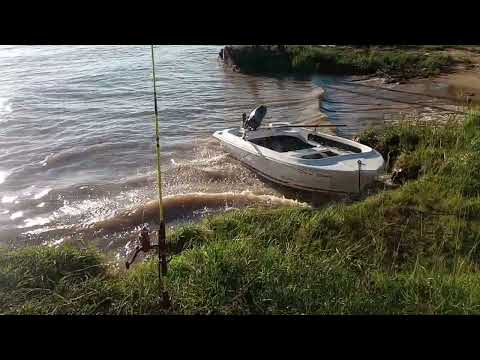 Los Gomas Pescando 19-abril-2026 ibicuy Entre Rios Arg