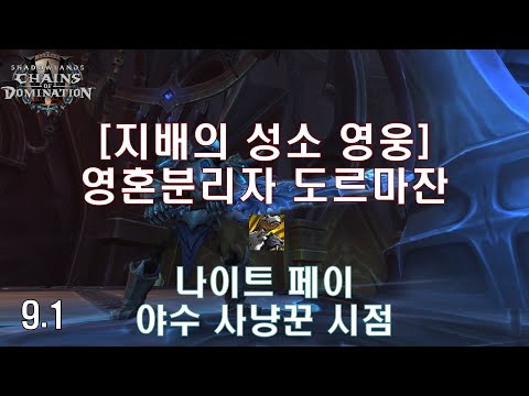 [어둠땅 2시즌 레이드 5넴] 영웅 영혼분리자 도르마잔 야수 사냥꾼 시점 (Heroic Soulrender Domazain BM Hunter POV)