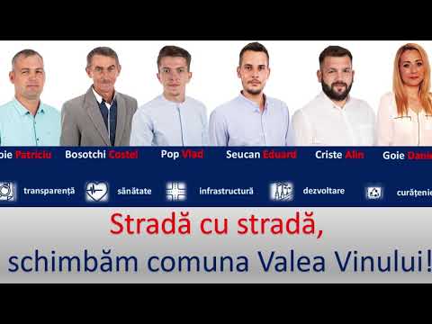 Echipa USR PLUS Valea Vinului