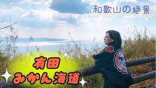 超絶景！天使の梯子・有田みかん海道【和歌山】