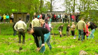 Parafialno-Gminny Spacer Rodzinny – Ekomajówka '2014 miniaturka