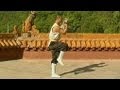 Shaolin Kung Fu Combat Styles: 5. 7-star form (七星拳: qixing quan)