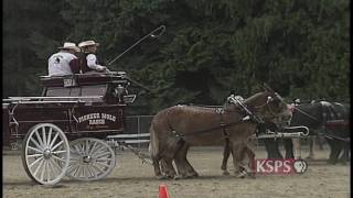 preview picture of video 'NW Profiles: Draft Horse International'