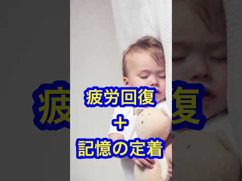 法学課程 Q:共通テスト当日、睡眠不足でも大丈夫ですか？#shorts【アトム法律事務所パロディ】