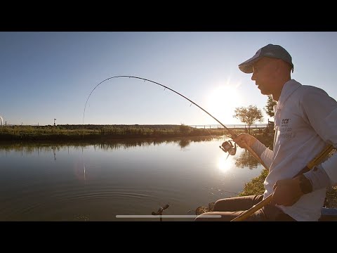 Balta Stuparei - Rm. Valcea 09.07.2023