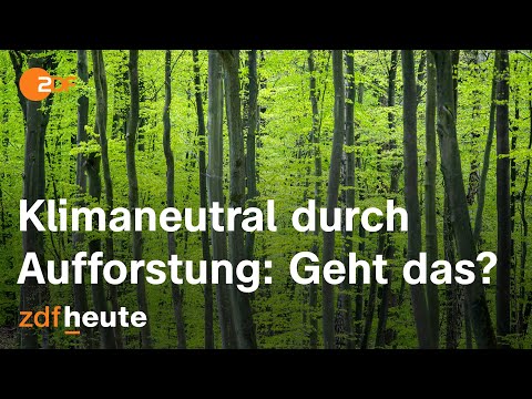 Mogelpackung Klimaneutralität? | ZDF planet.e