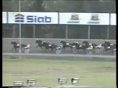 Guldbjörken 1992 -Esquire Spur