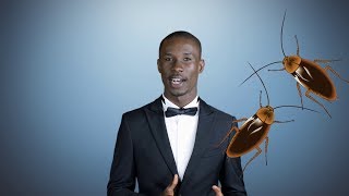 2 mn pour comprendre &quot;LES CAFARDS&quot; du 19 Septembre 2018 par Polus Agathon