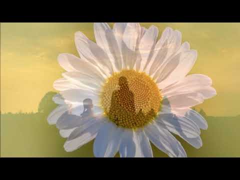 Odjila .... Solnisko