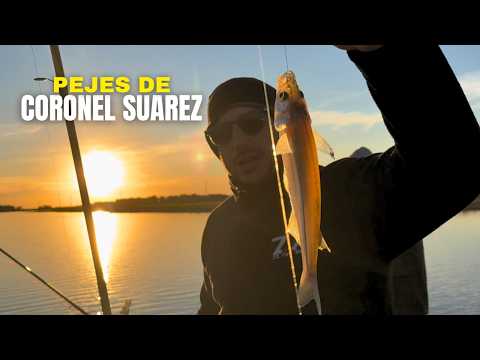 PEJERREYES en Coronel Suarez | Laguna Caballo Loco