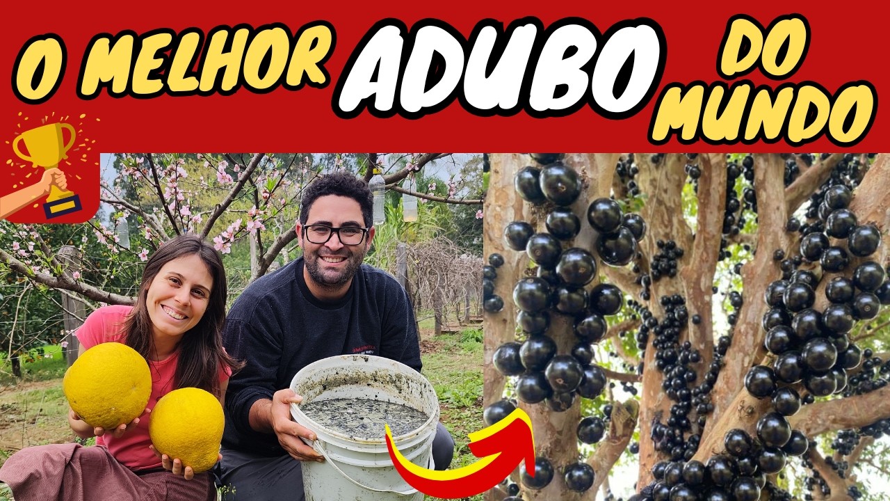 ✅O ADUBO Líquido mais PODEROSO Usado na Agricultura