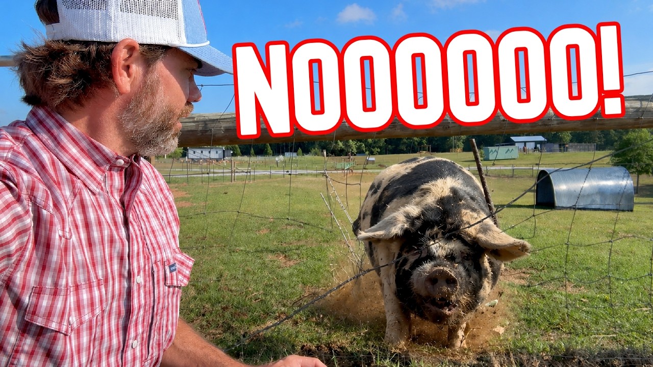 I Looked Over & Couldn’t Believe It!