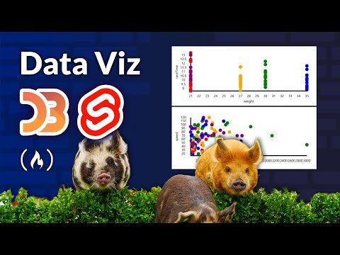 Data Viz w/ Svelte and D3 Tutorial – Custom and Interactive Data Visualization