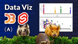 מדריך Data Viz עם Svelte ו-D3 – ויזואליזציה מותאמת אישית ואינטראקטיבית של נתונים