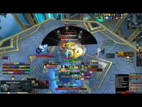 Anduin HC [Analysis] Protection Paladin PoV