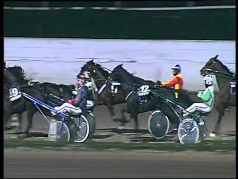 Trotto 28/01/2016 - 7° corsa