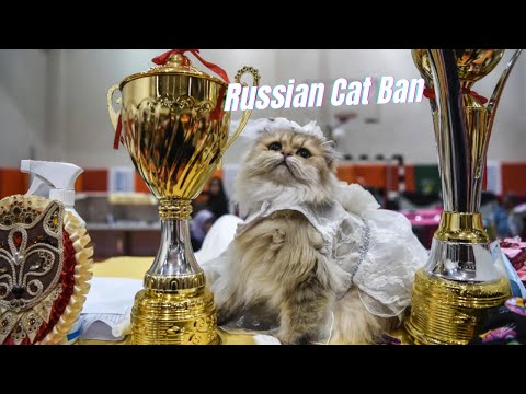 The International Cat Federation has banned Russian cats from competition in response to .. .. Yeet!