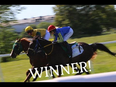 Nationaldagsgaloppen 2017