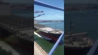 [爆卦] 陽明會因為這樣股價下跌嗎