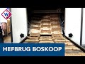 Bakker Ko maakt Boskoopse hefbrugkoekjes - OMROEP WEST