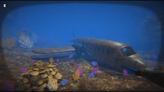 Lionfish Reef Patrol