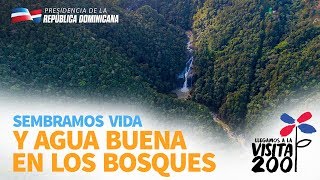 Sembramos vida y agua buena en los bosques