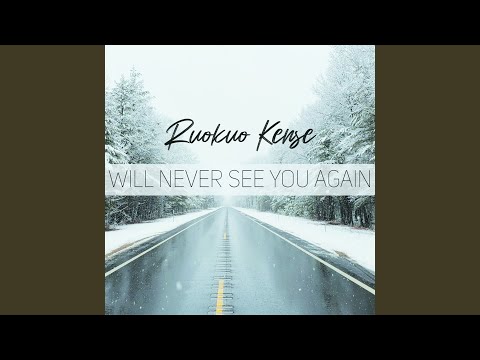 Will Never See you Again