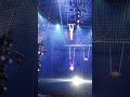 Big Apple Circus Part Two